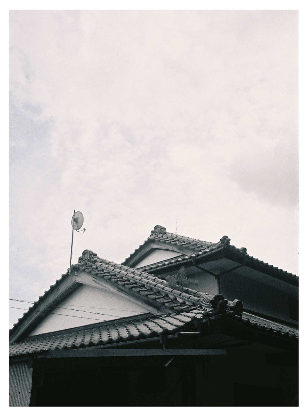 星 3